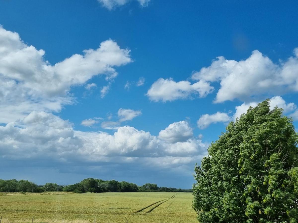 Scheune in Ostseenähe auch mit Pferd - Housity