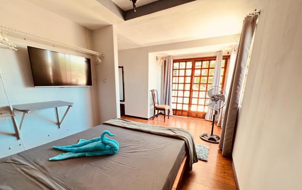 CASA DEL ARBOL ESCAZU - Housity