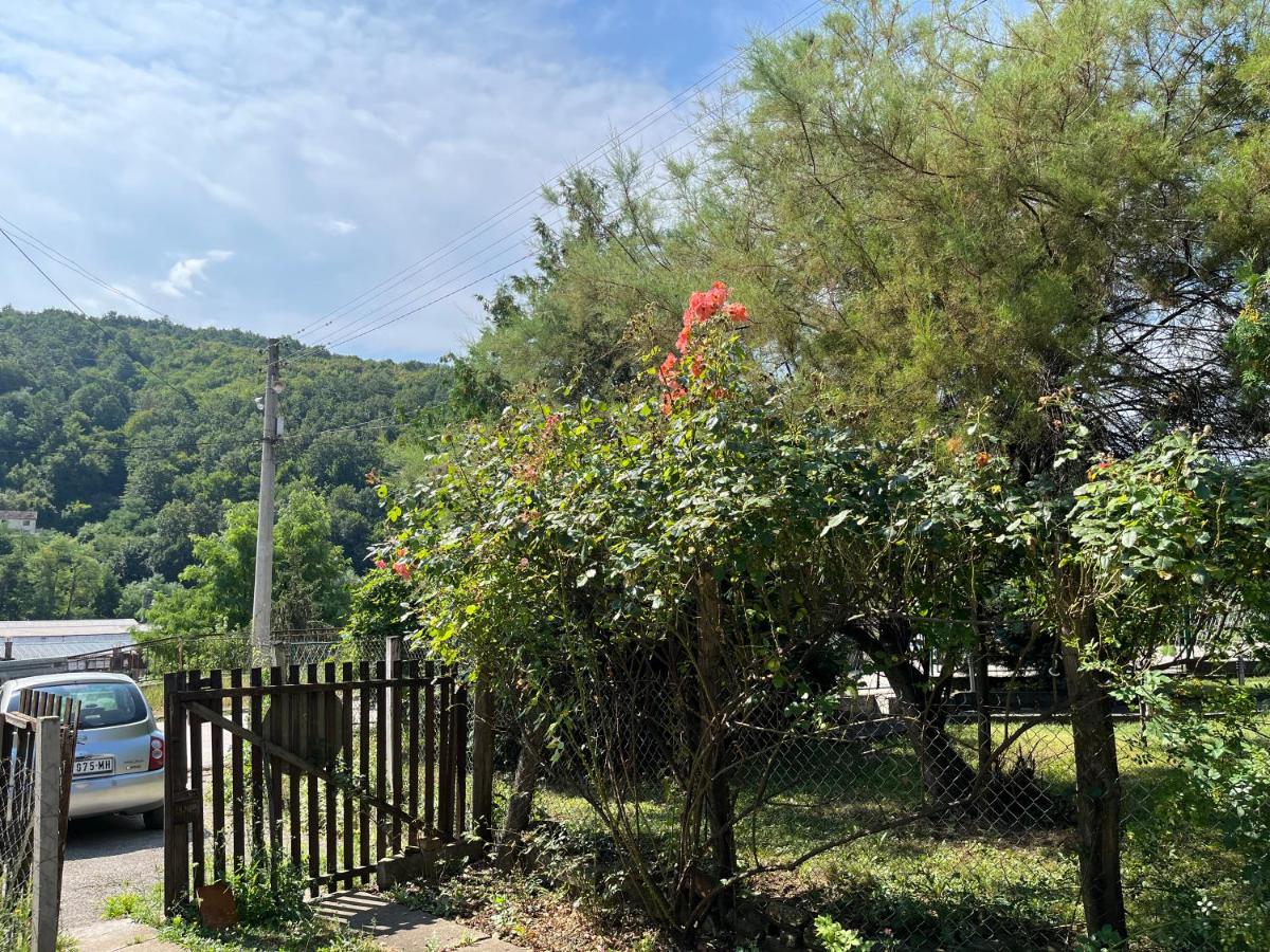 Kobran - Hizvo