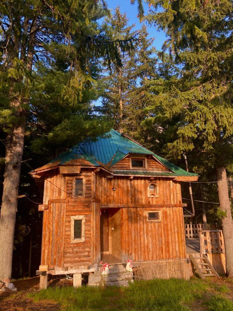 Pinetrees Lodge - Housity