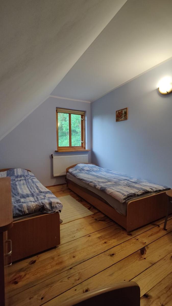 Wilcza Jama - Housity