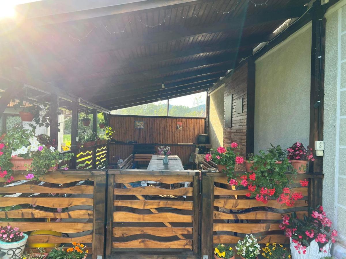 Casa Danut - Housity