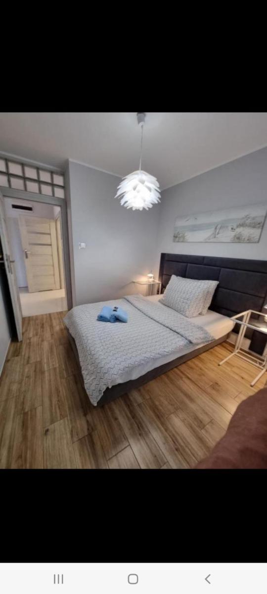 Apartament Calamo Park - Housity