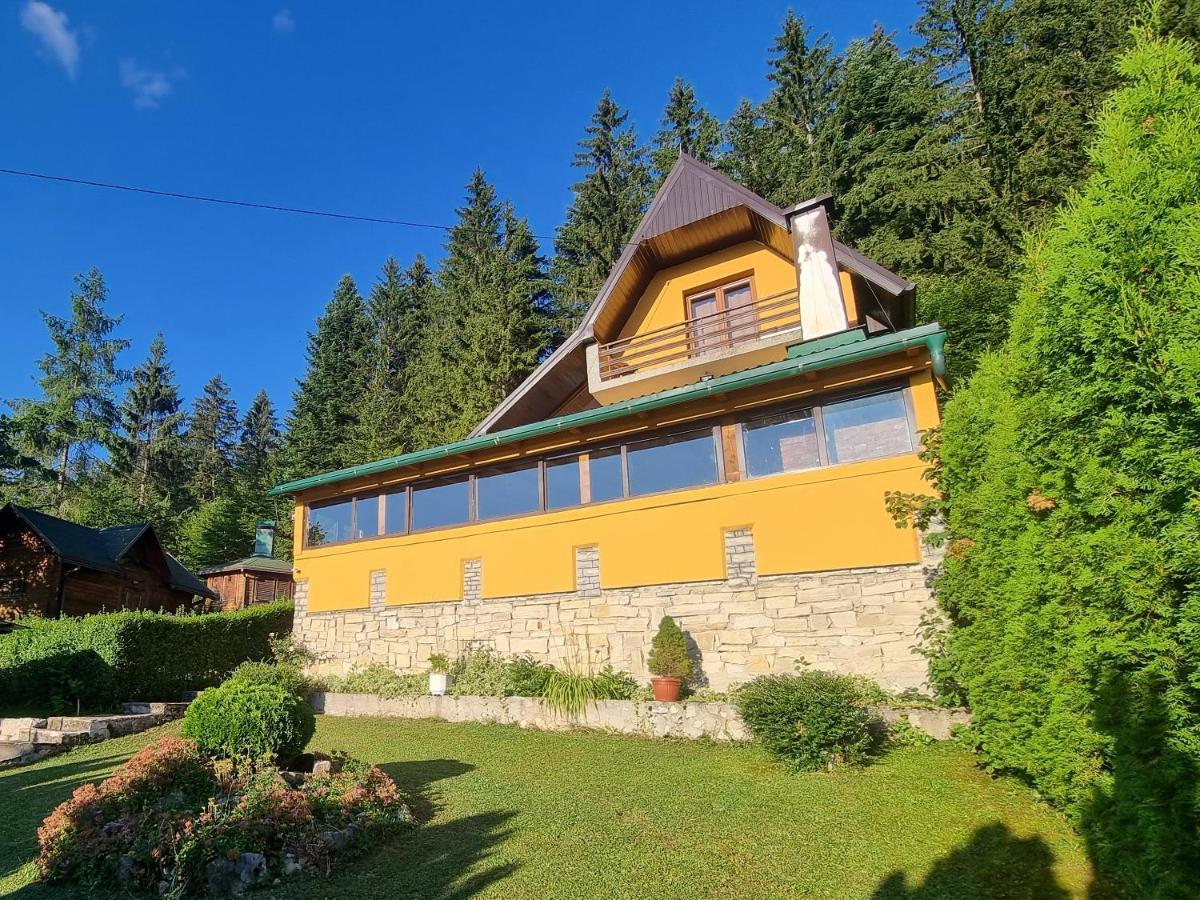 Green Forest - Housity