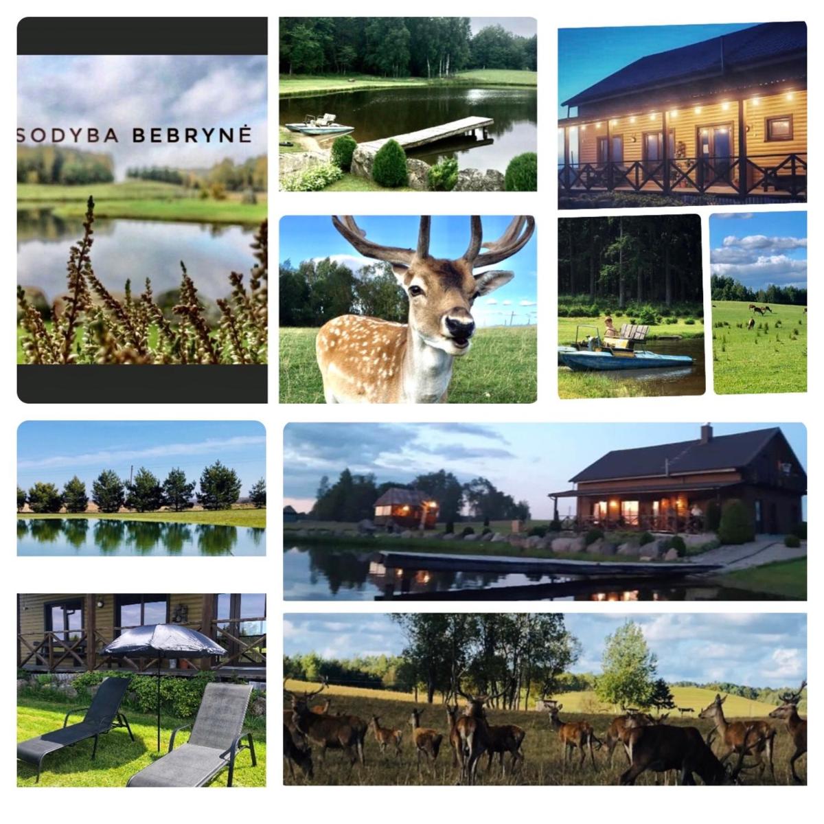 Sodyba Bebrynė - Housity