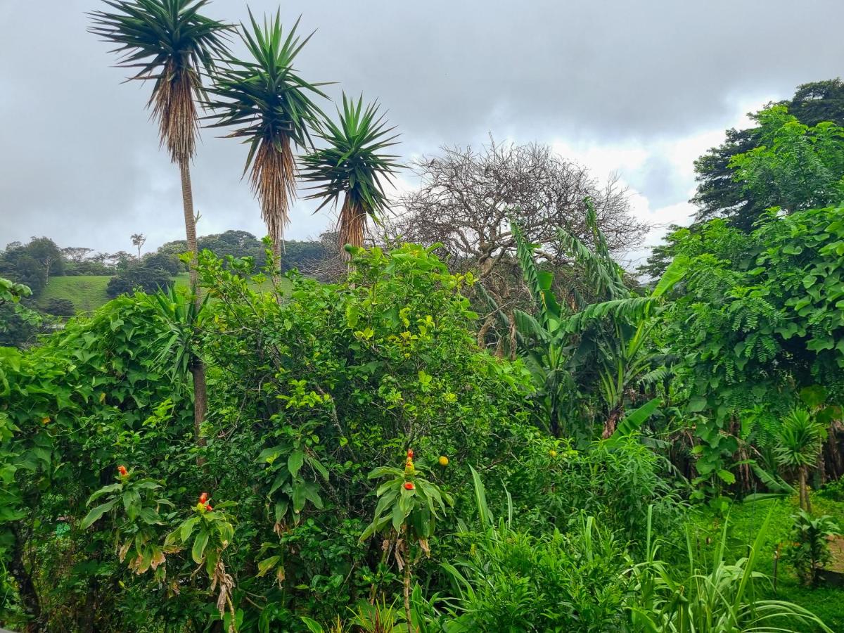 CASA ISAMAR - Housity