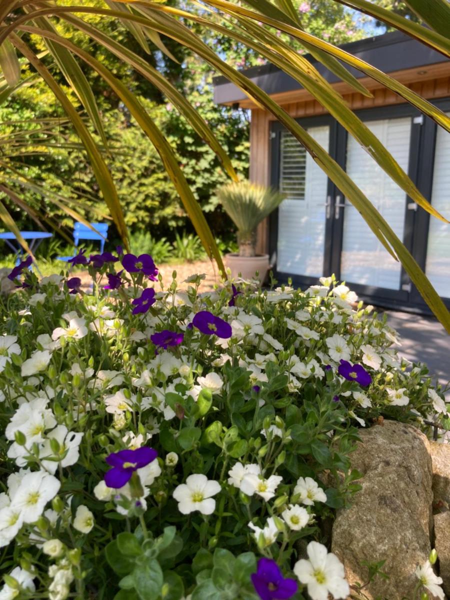 Delightful self contained let in a village setting - Housity