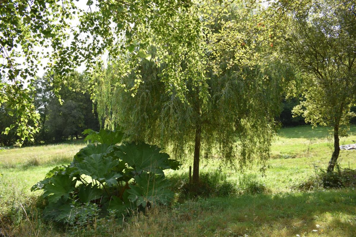 Le Clos Crista Galli - Housity