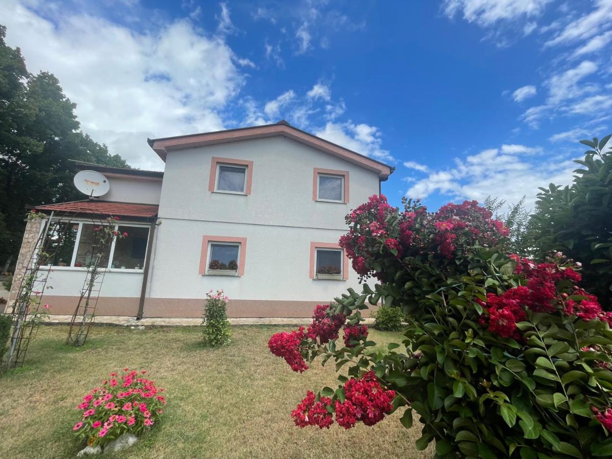 Pansion Stojić - Housity