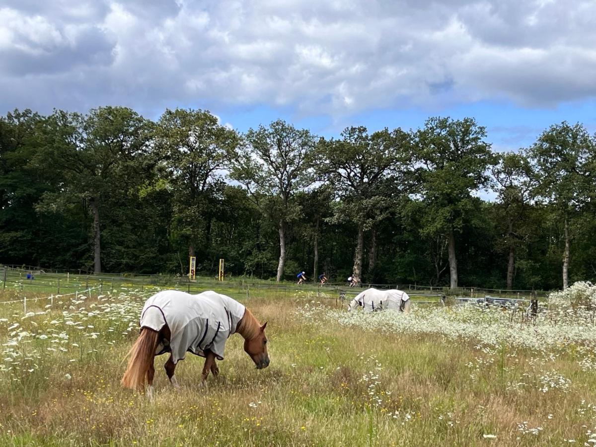 Bed and Breakfast De Paalberg - Housity