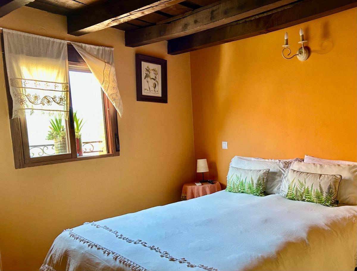 Casa Artista - Housity