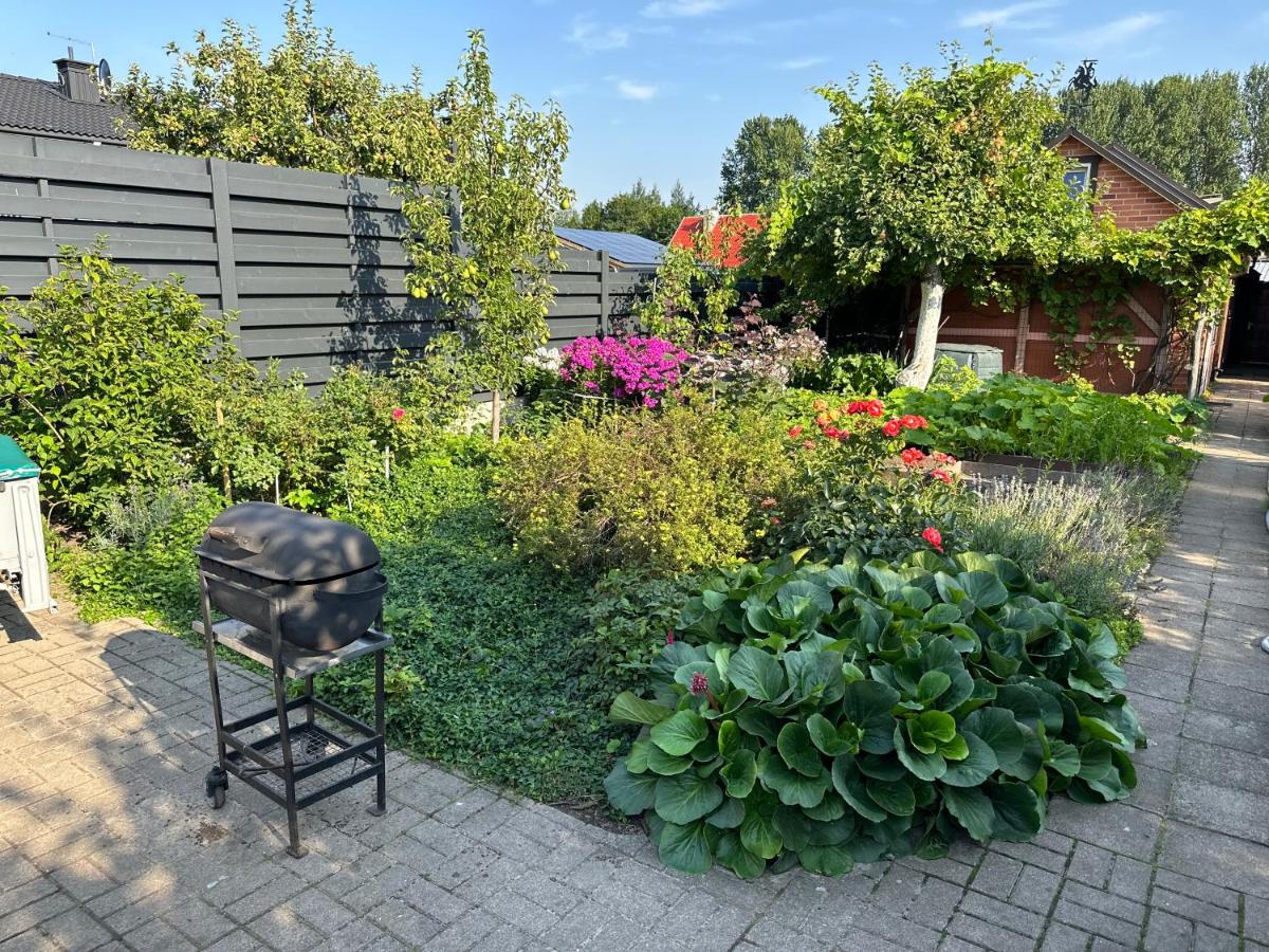 Apartamentai su pirtimi - Housity