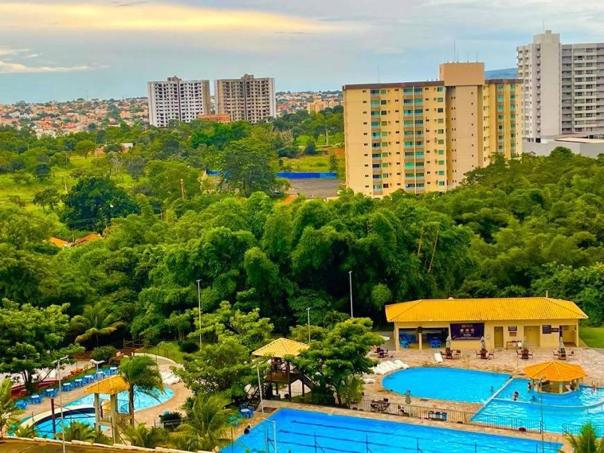 Golden dolphin express - Housity