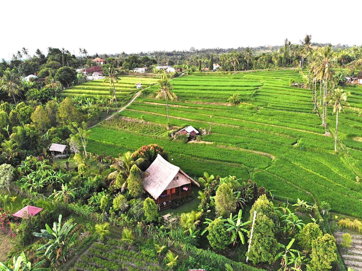 Cute Eco Cottage Near 7 Waterfalls - Housity