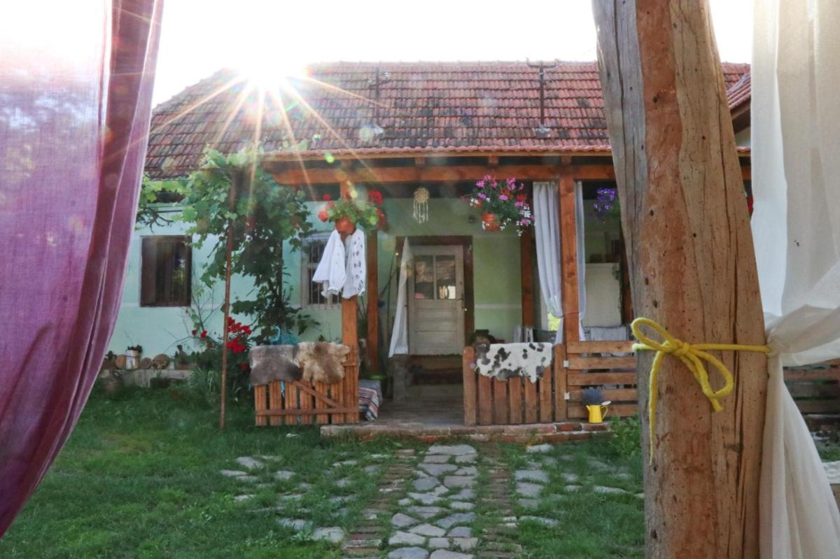 Casa cu levănțică - Housity