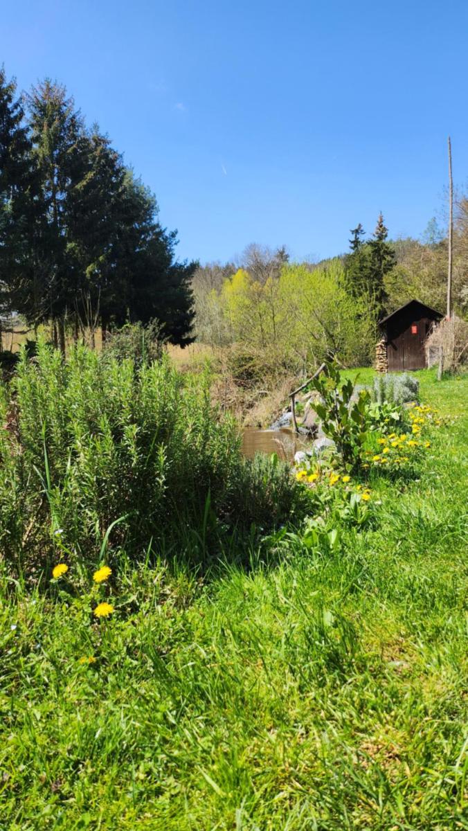 Suitetrails - OFFGRID Haus am Angelteich