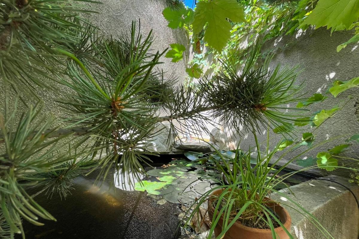 Le Gîte des 3 Tours - Tournon sur Rhône - Housity