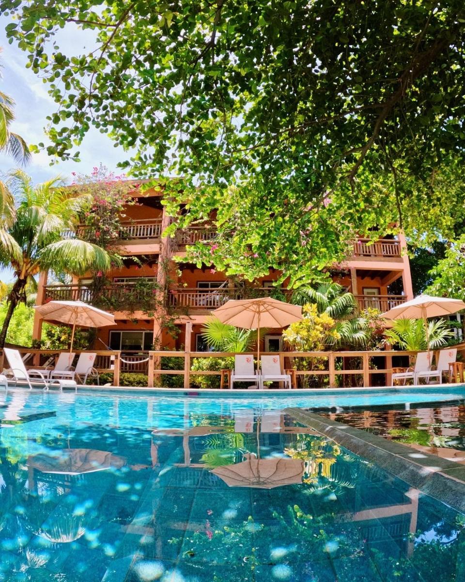 Hotel Posada Seremein Roatan - Housity