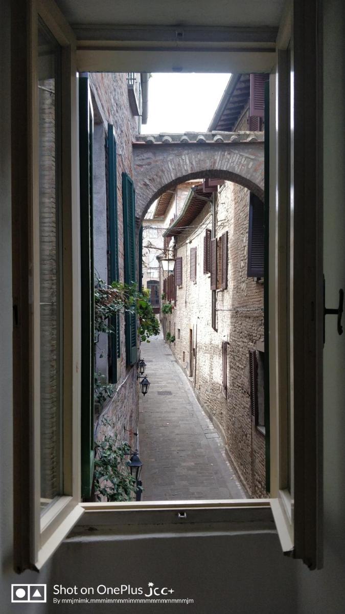 Kairos Montone - Housity
