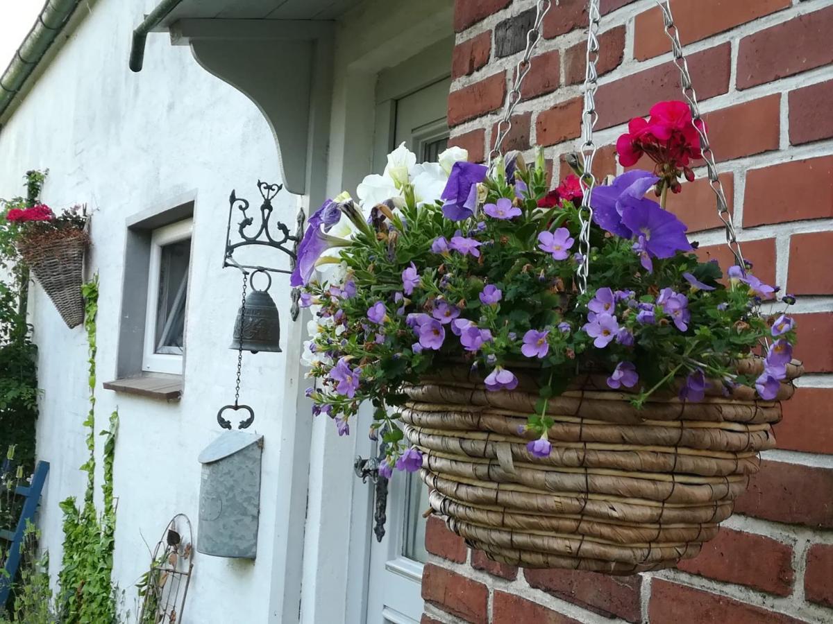 Ferienwohnung Brodersen - Housity