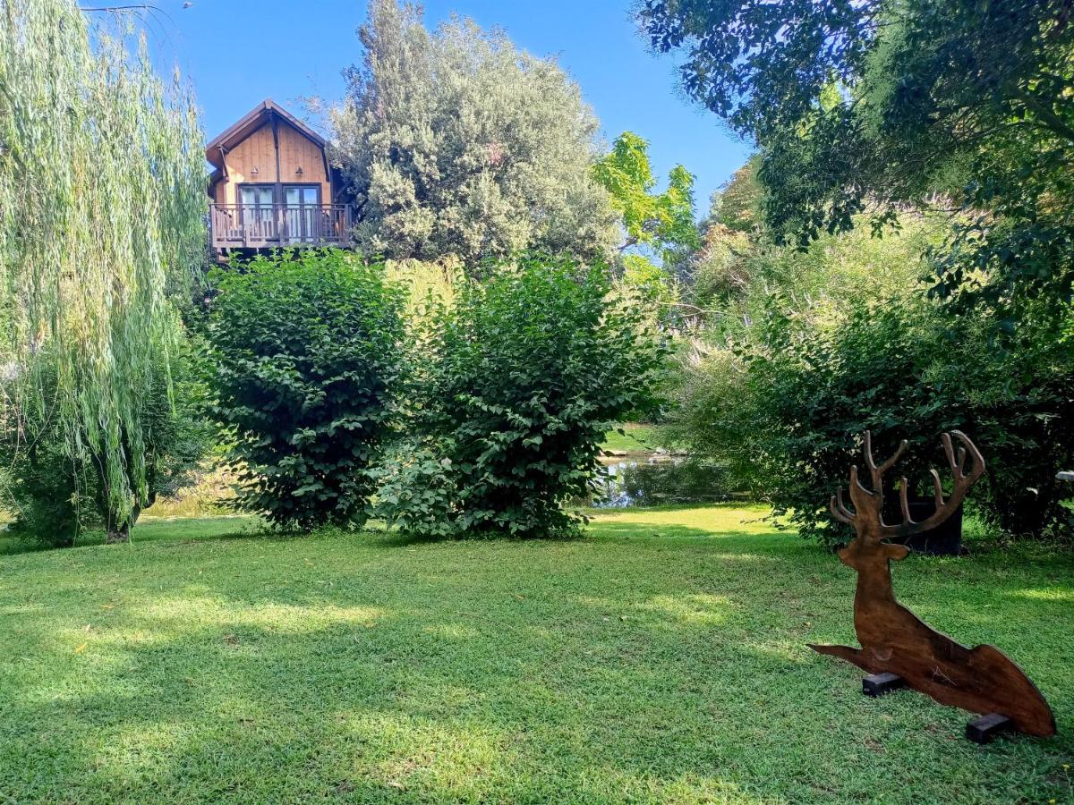 Casa sull'Albero Awen - Casa Vacanze - Housity