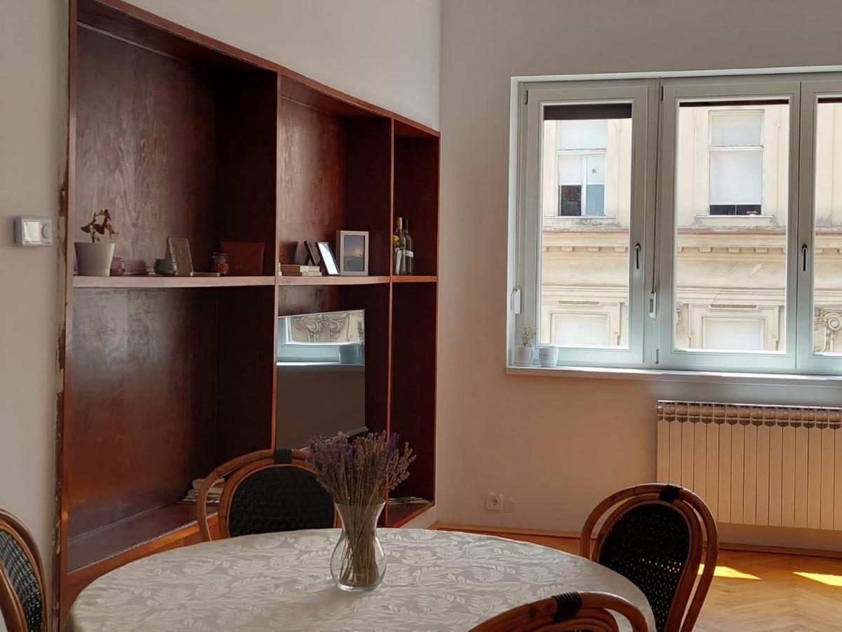 Spacious Apartment Petrinjska - Housity