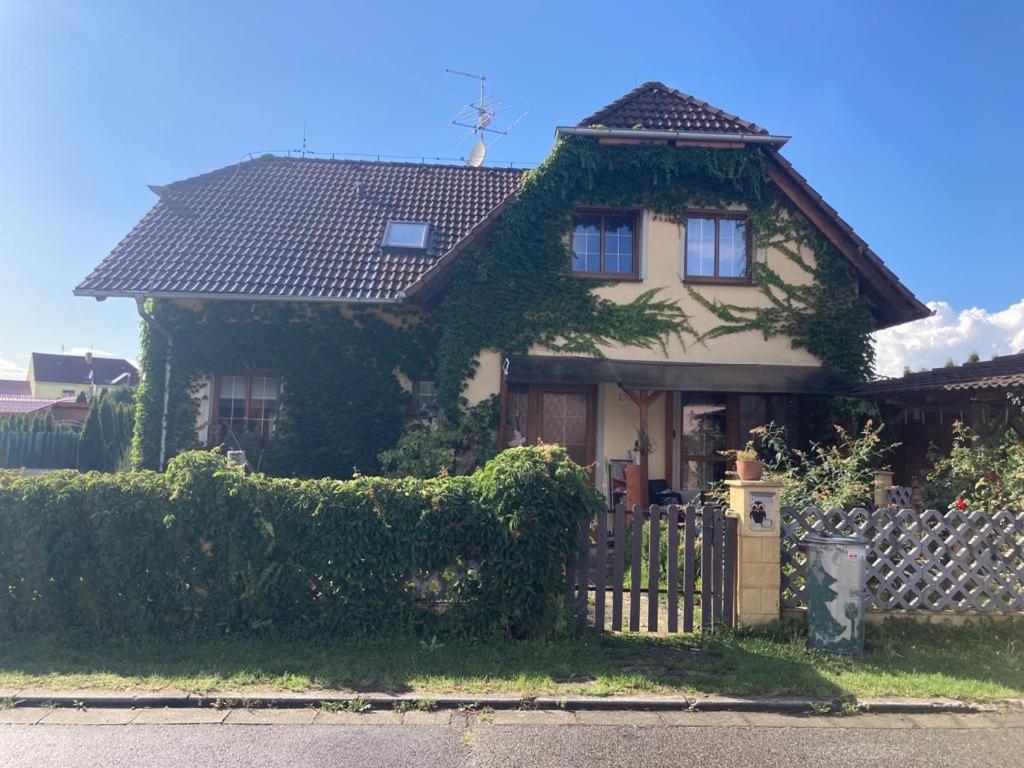U Sovičky - Housity