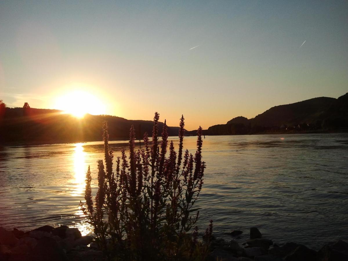 Fe Wo Am Alten Rathaus - Housity