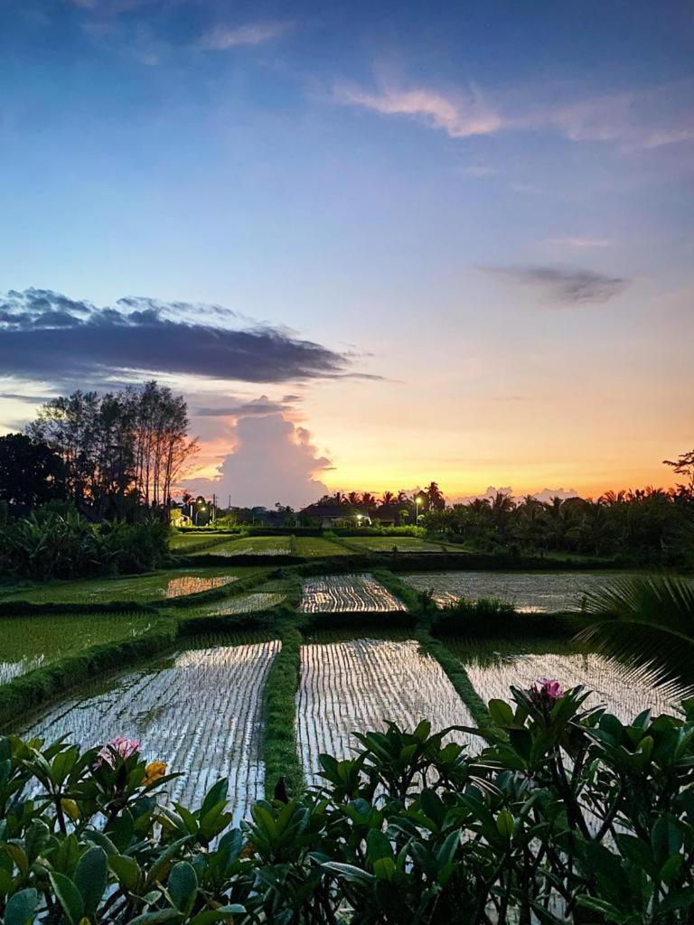 ** 5BR for 10+ guest, amazing place relaxing ubud *** - Housity
