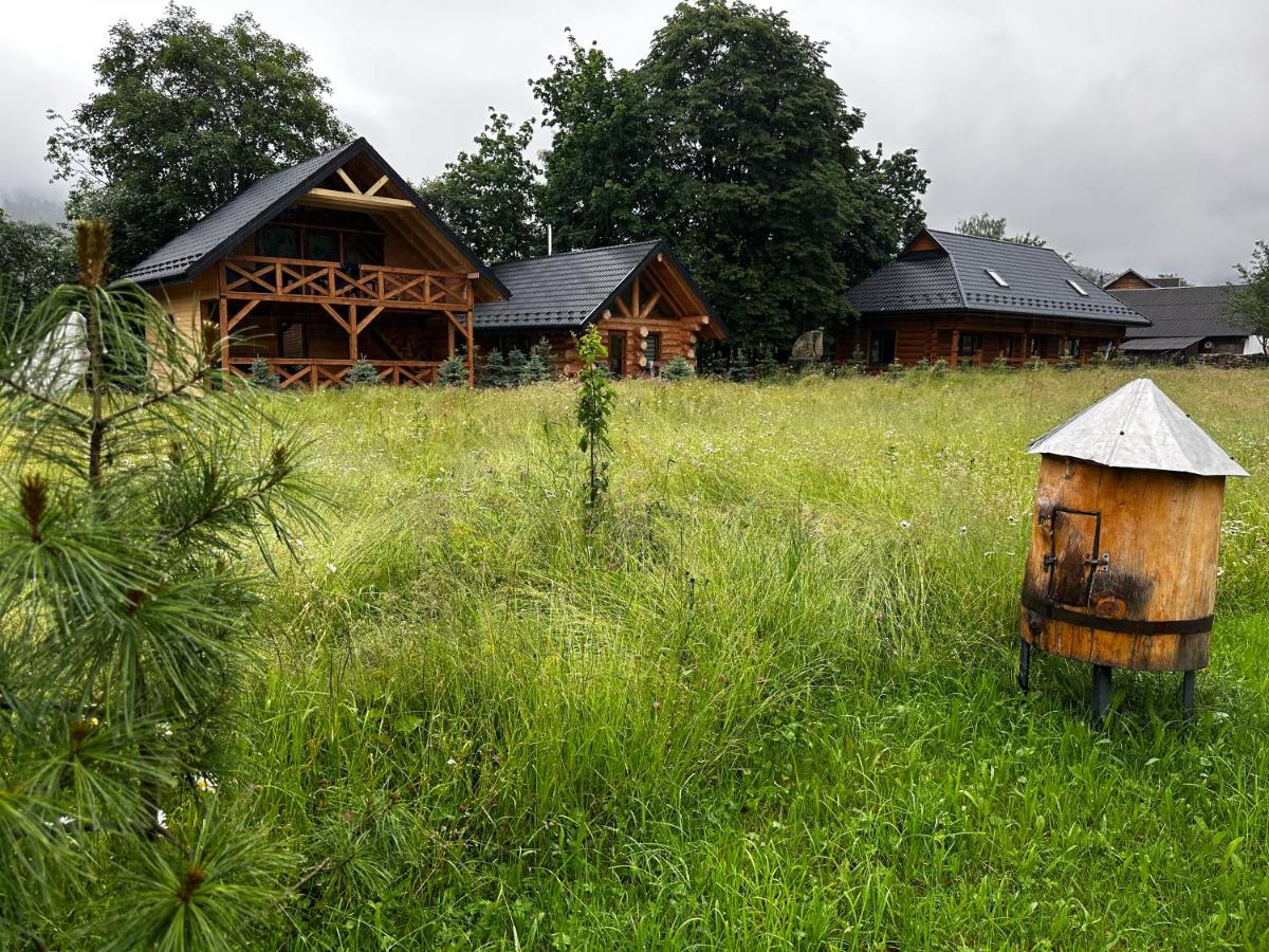 Chalet PidStromom - Housity