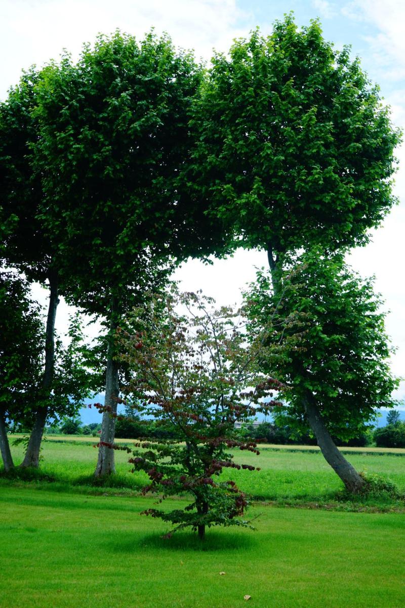 Casa Vola Bisalta - Housity