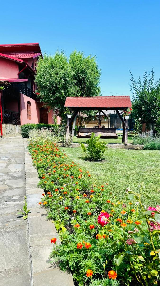 Casa dintre munti Karina - Housity