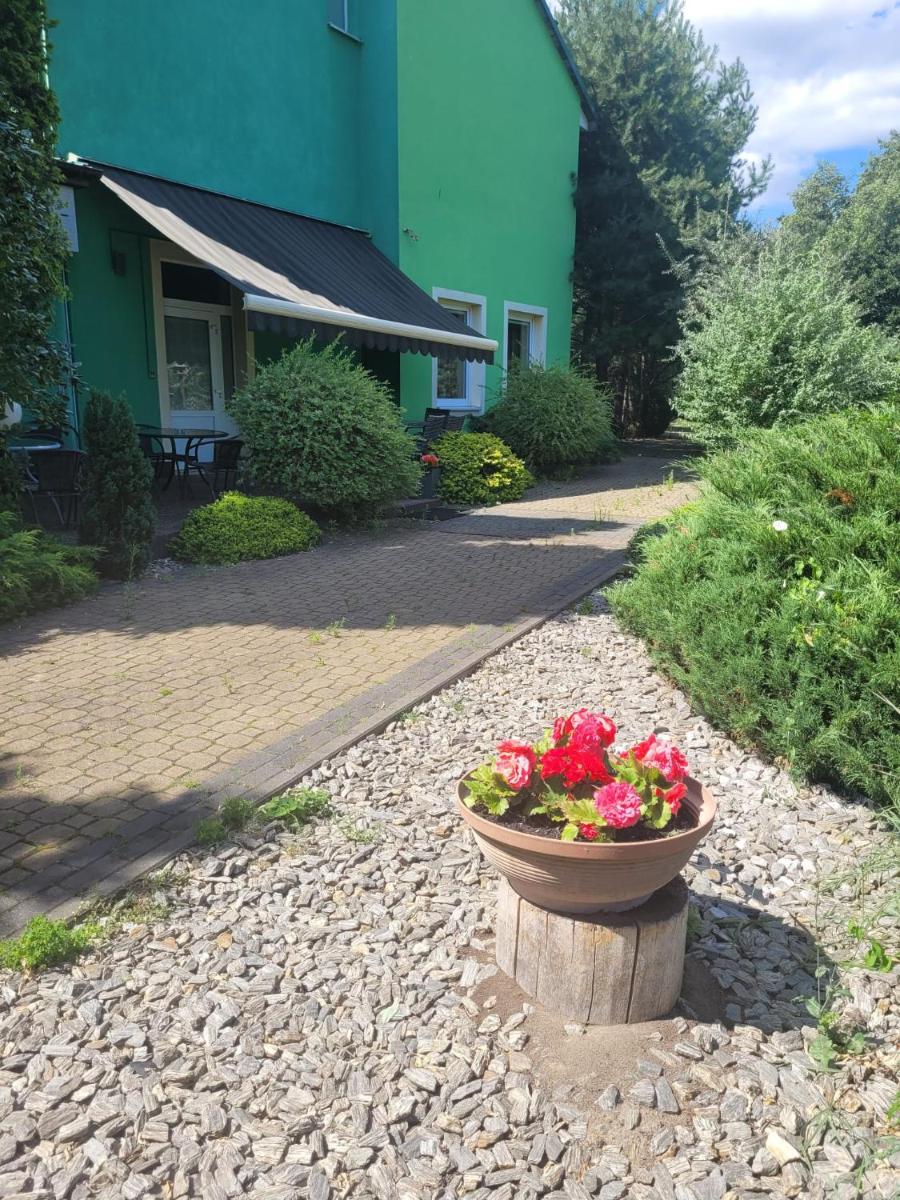 Albert Turystyczne Usługi Hotelarskie - Housity