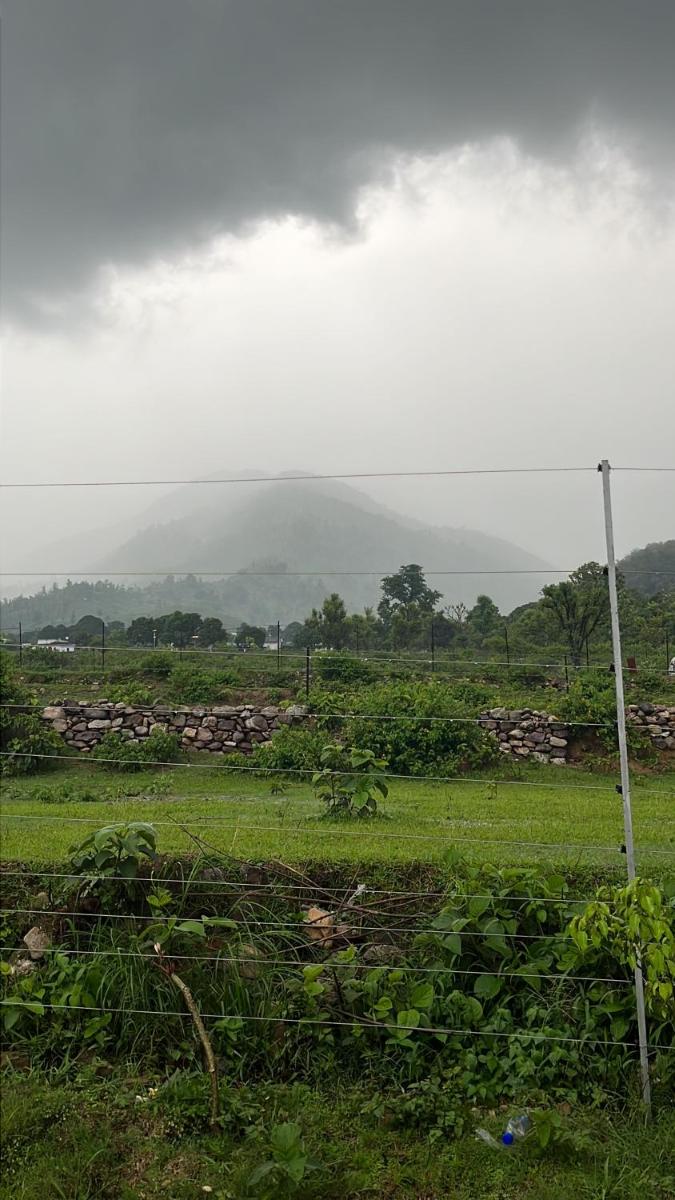 Jim & Holmes Homestay in Jim Corbett National Park - Housity