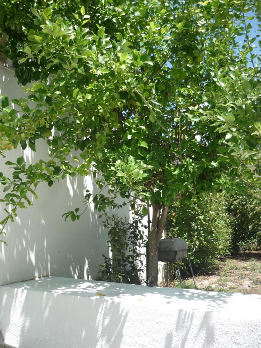Casa da Terra - Housity
