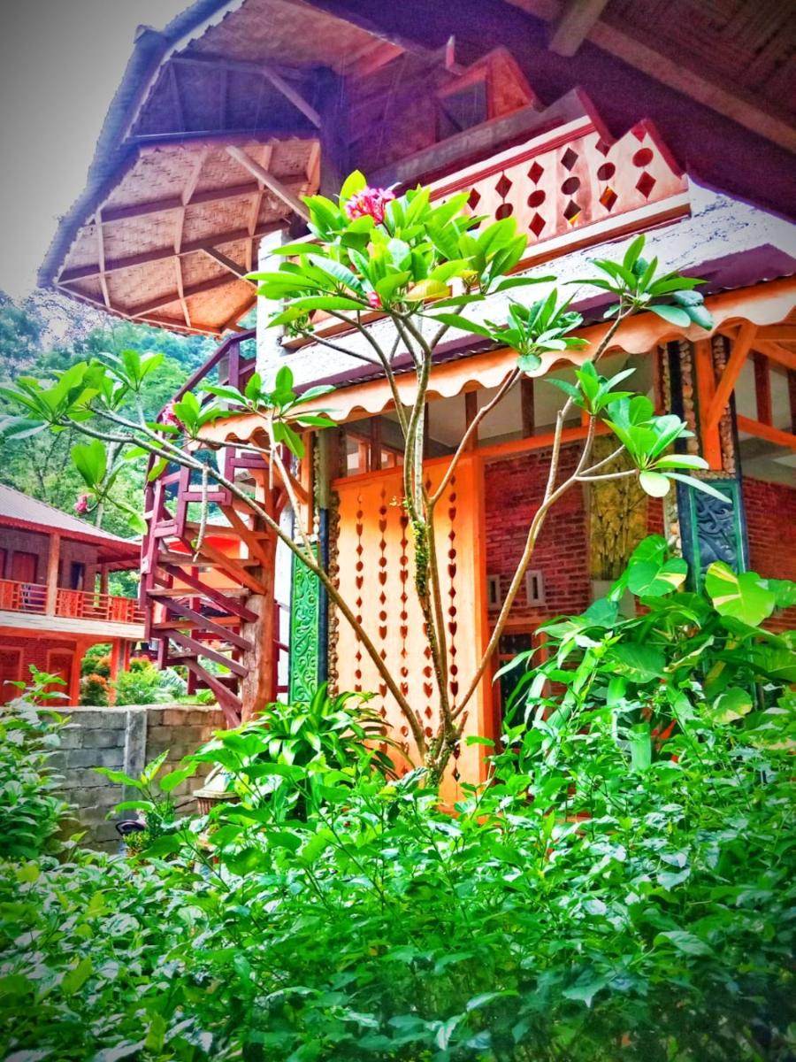 Eriono guest house Bukit lawang - Housity