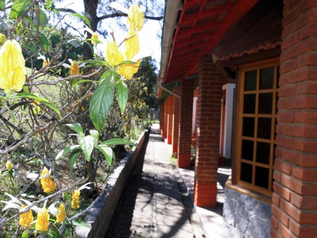 Suitetrails - Hotel Bougainville