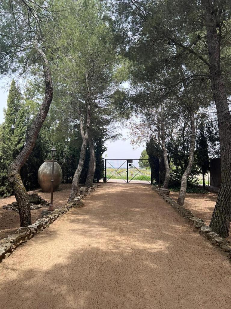 Finca Los Molinos - Housity