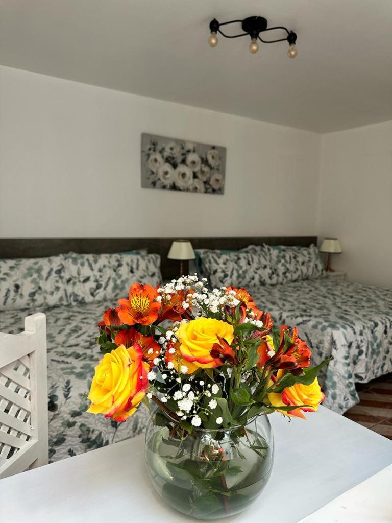 Casa Balthazar Hostel - Housity