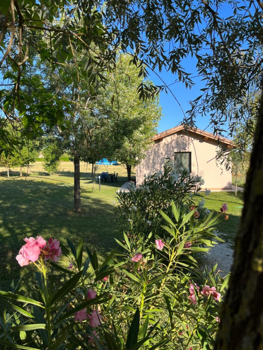 Casa Dora - Housity
