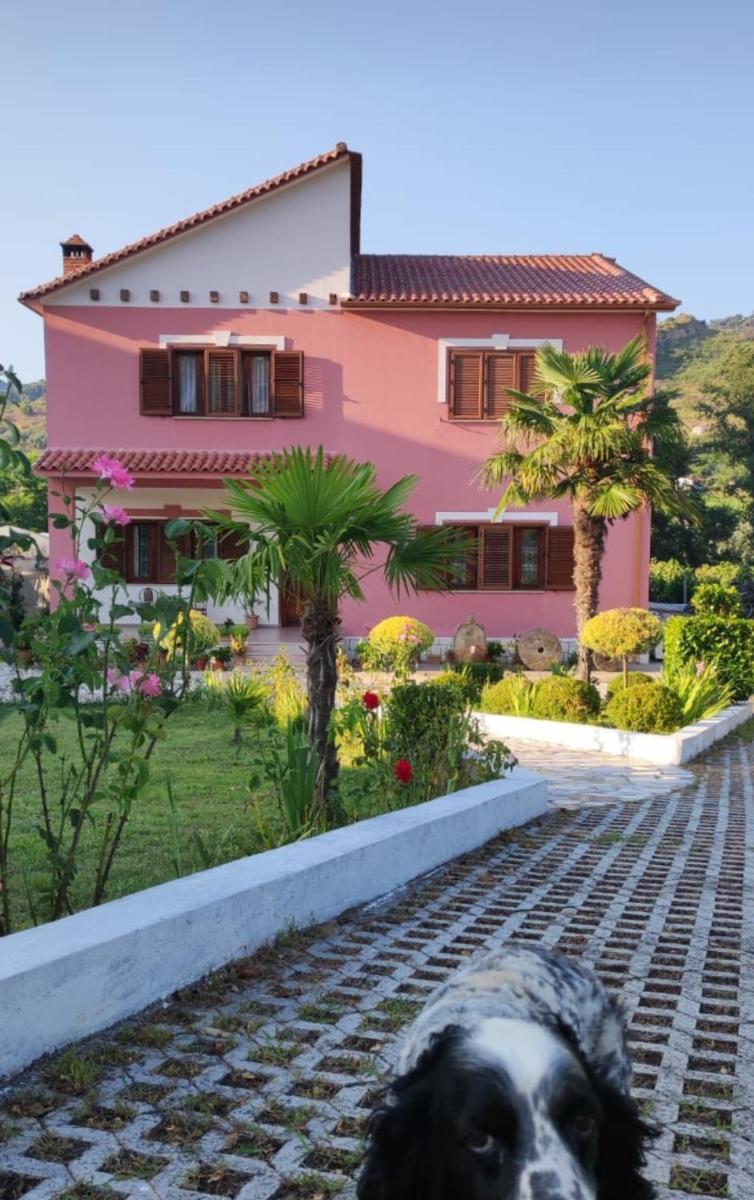 Guesthouse Ndroq - Housity