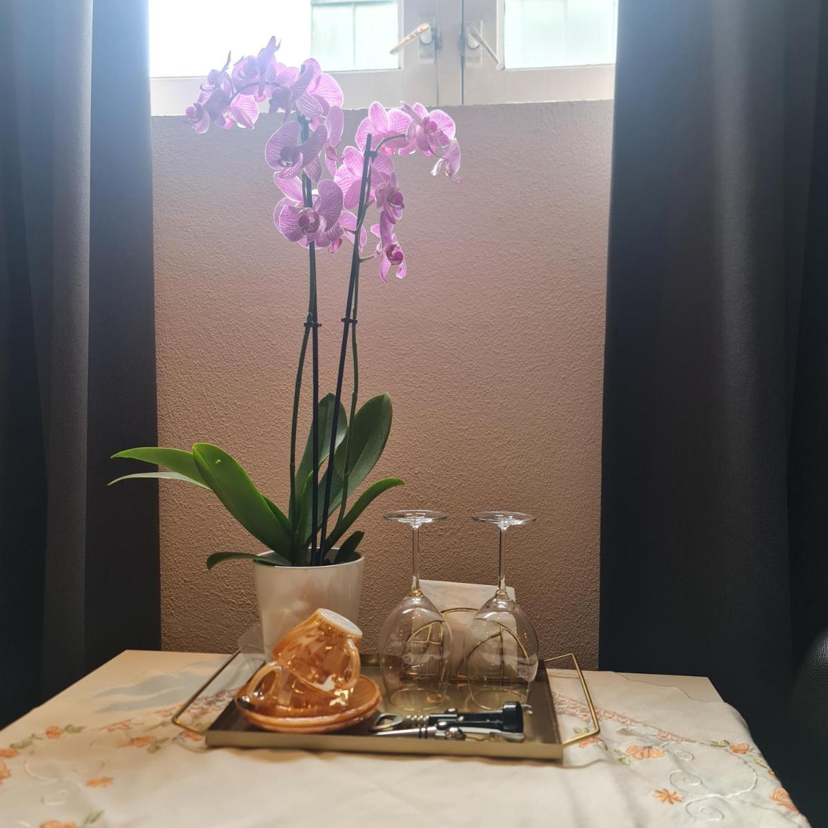 Crown Guesthouse Amsterdam - Housity