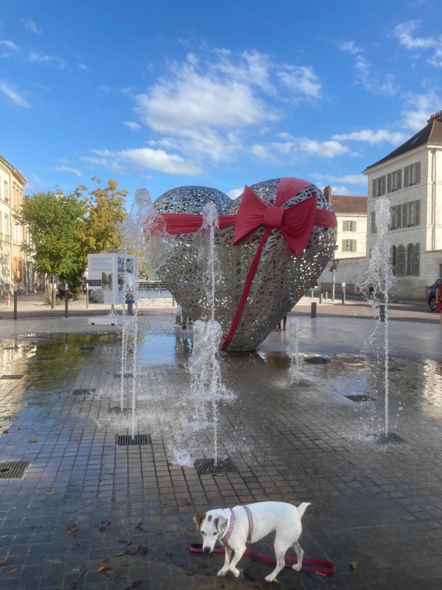 PAPILLONS De Nuit Champagne Troyes - Housity