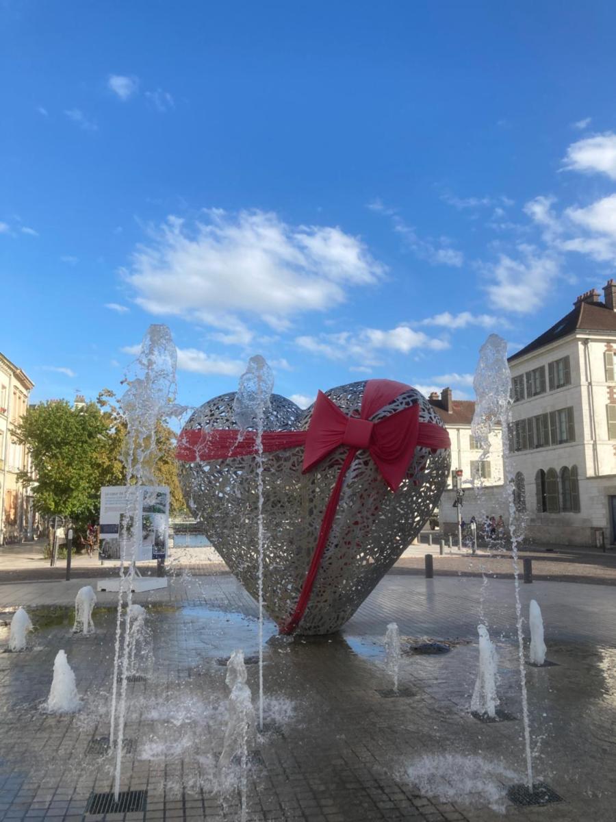 Bulles Champagne Troyes Bouchon - Housity