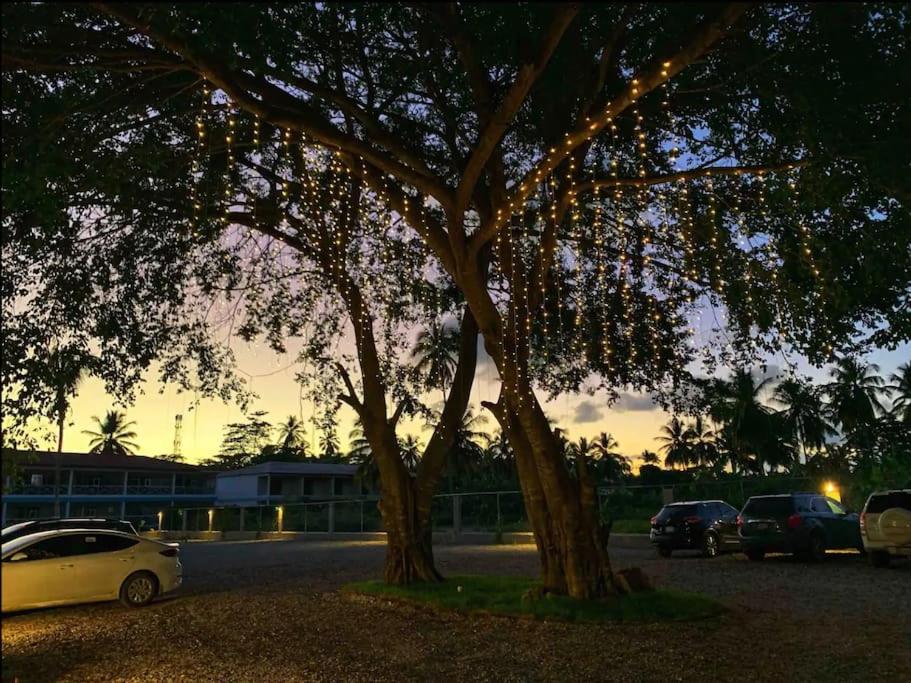 Cosy apartments las terrenas - Housity