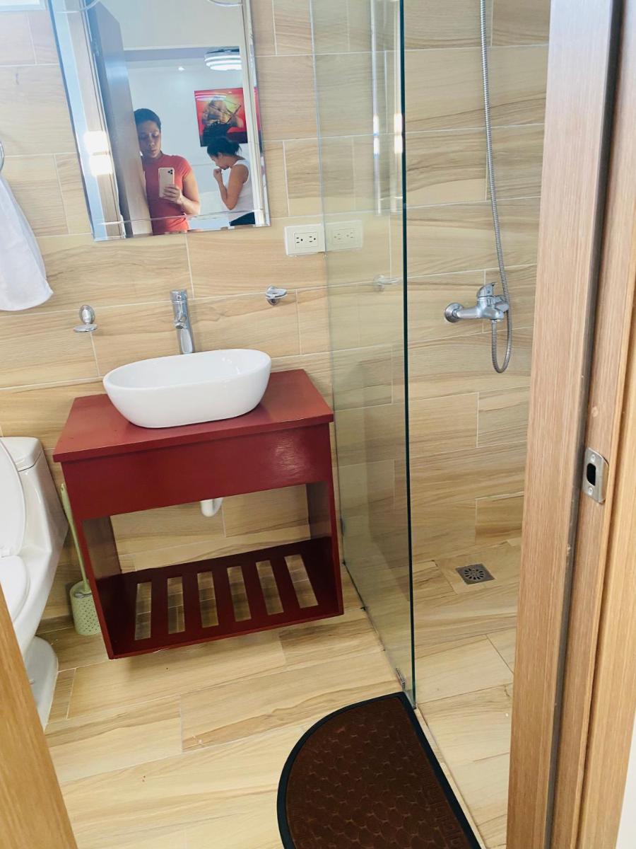 Confortable y lujoso apartamento en santiago - Housity