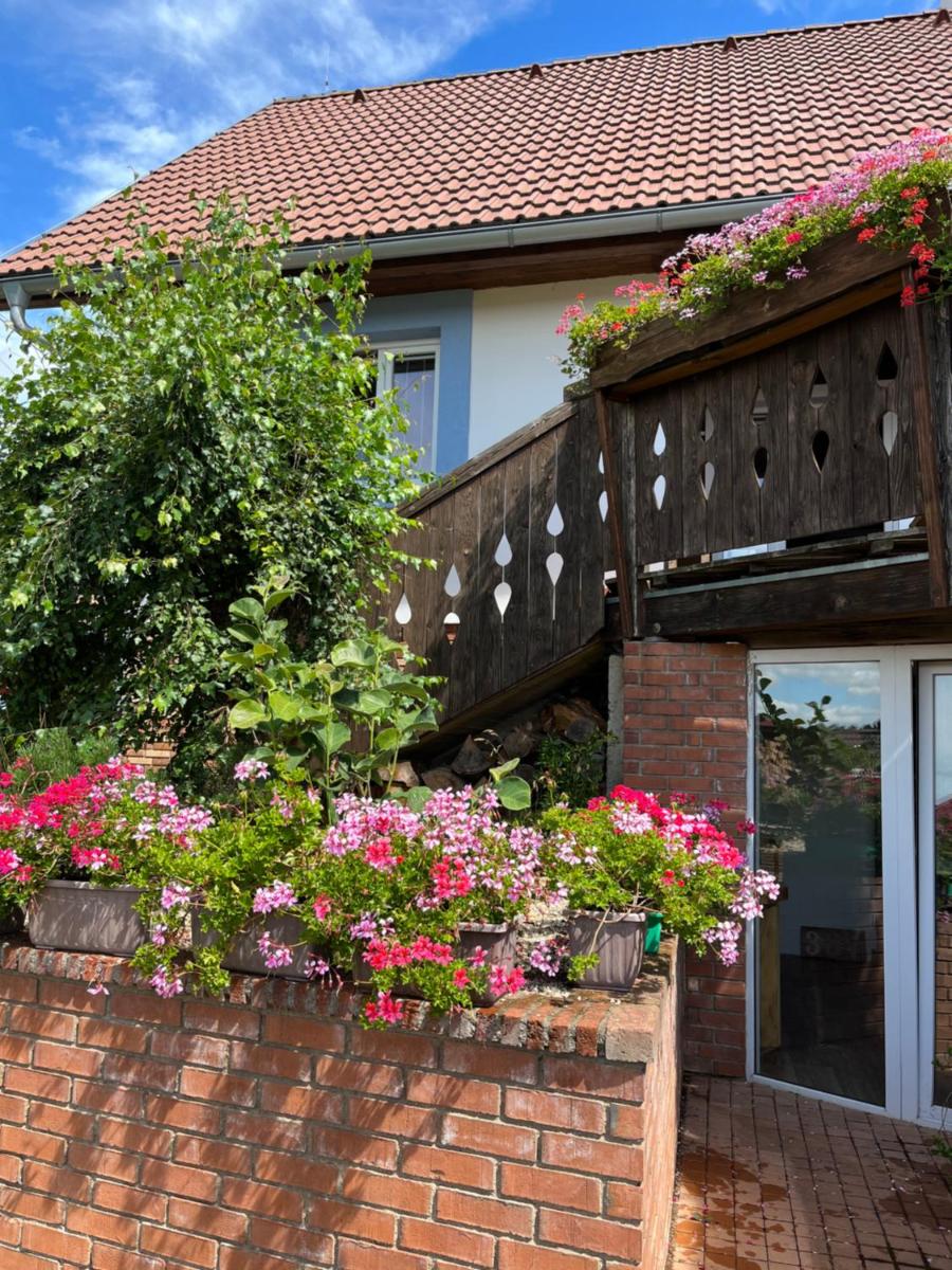 Vojnův Městec Dům s vůní dřeva - Housity