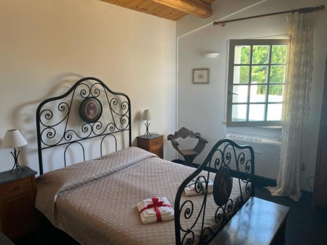 SeeConero home - Housity