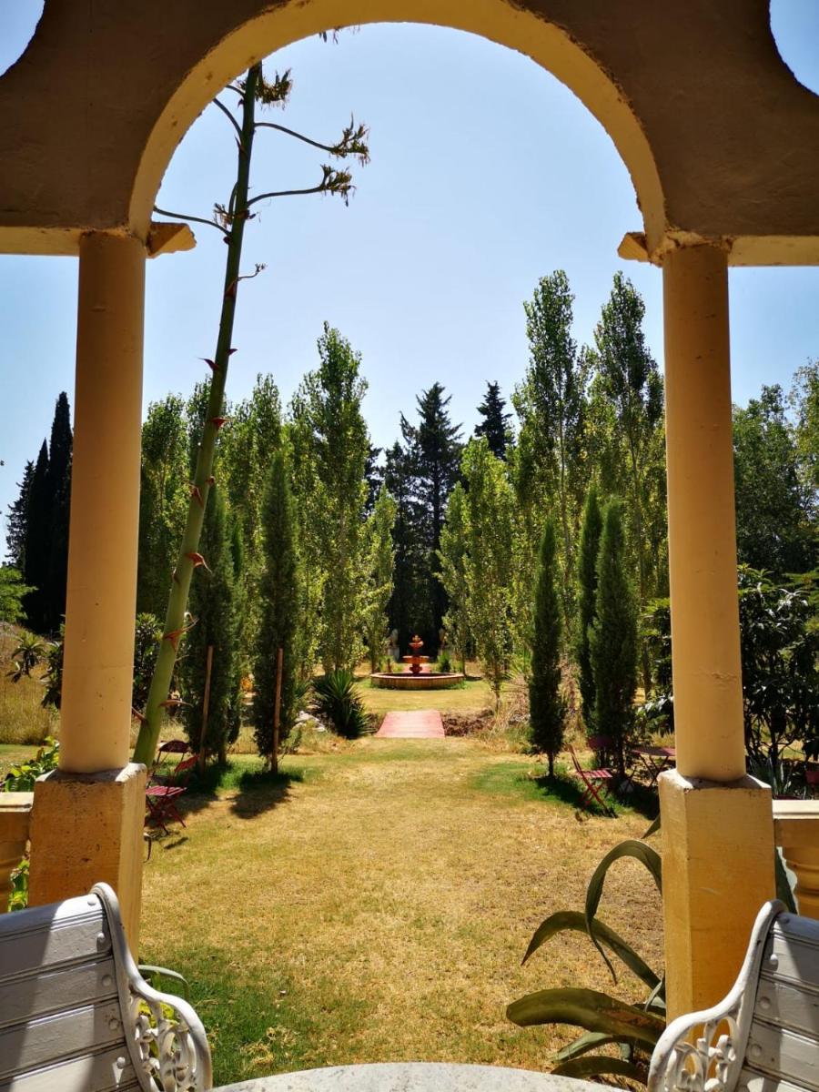 Jardin de l'établissement Mas de la Chapelle
