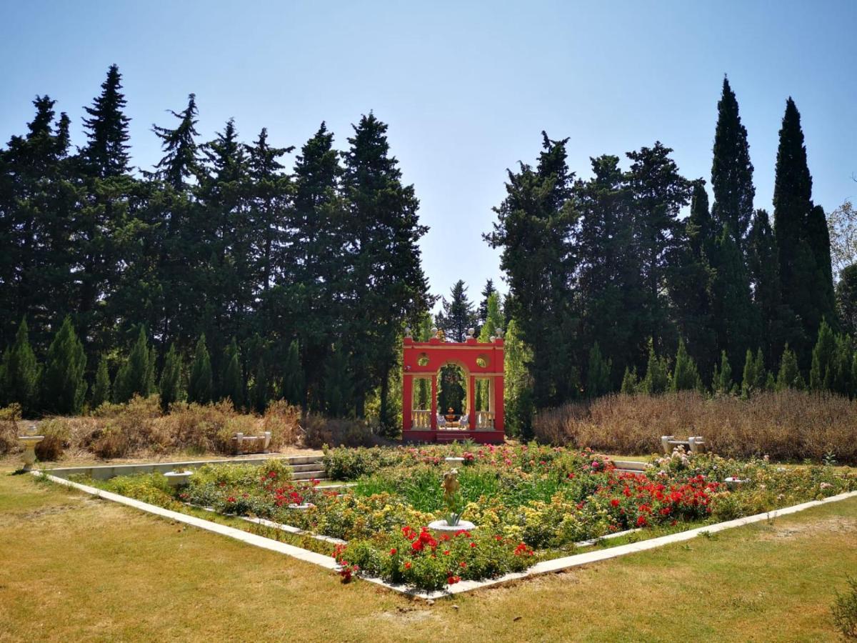 Jardin de l'établissement Mas de la Chapelle